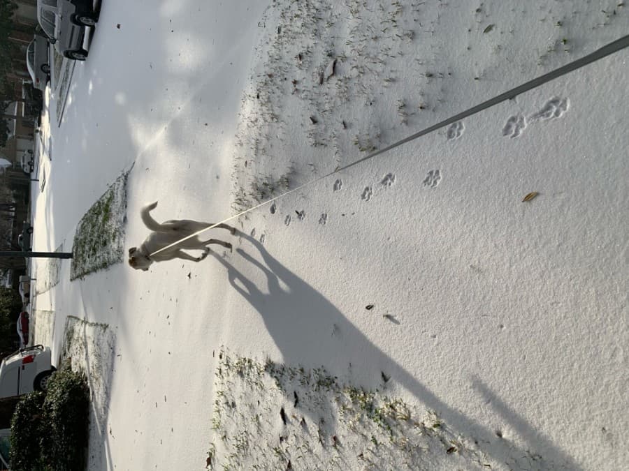 White Oak Landing is blanketed in snow. (Courtesy Kristin Morgan)