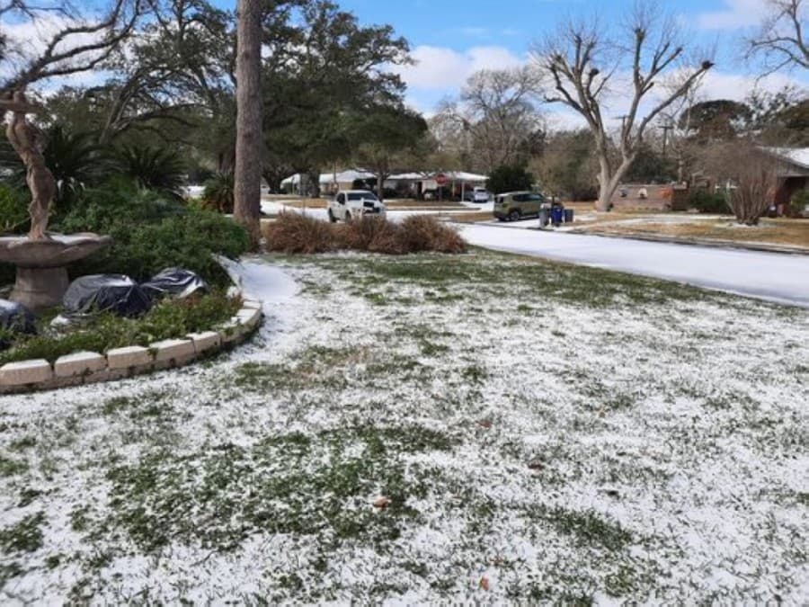 Homes near Walter Hall Park saw snow Feb. 15. (Courtesy of Jamie Hart)