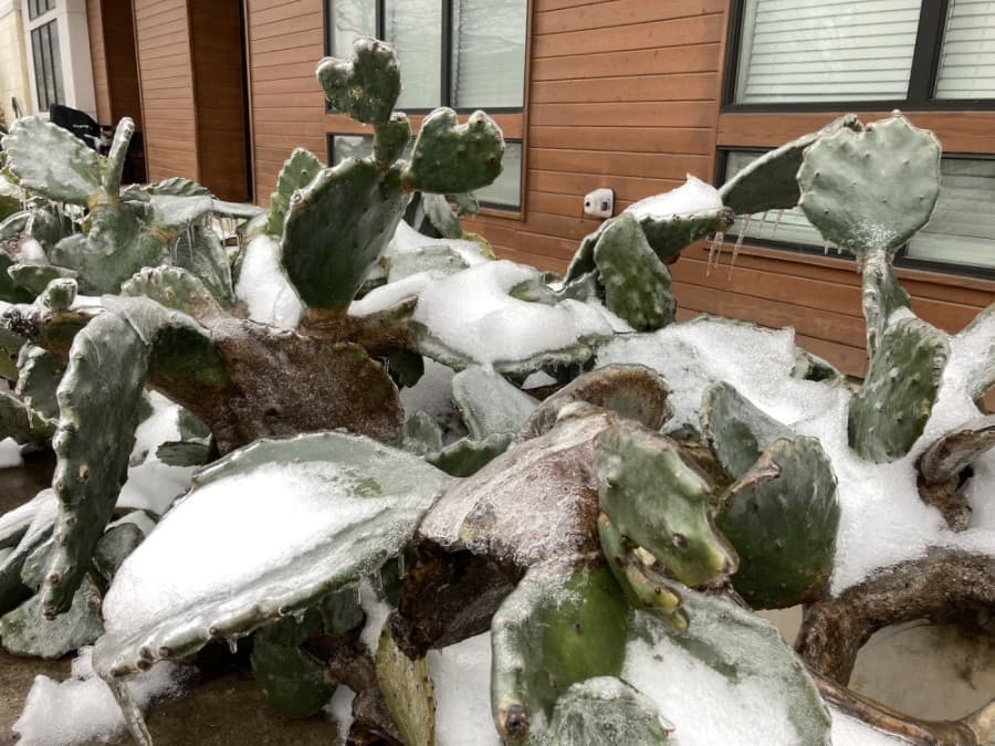 87% of Austin Energy customers now have power, more than 64K still without