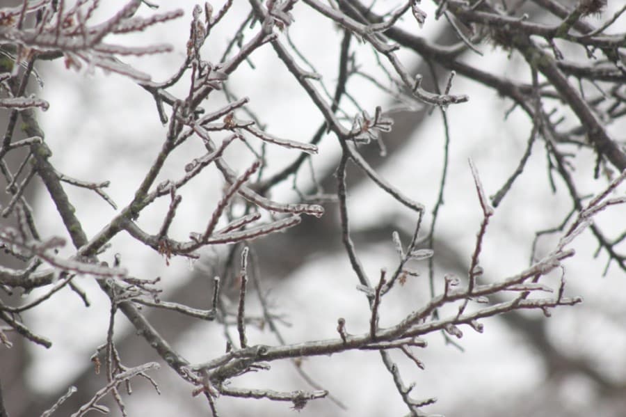 One in 4 Houstonians experienced water leaks during winter freeze, new data finds