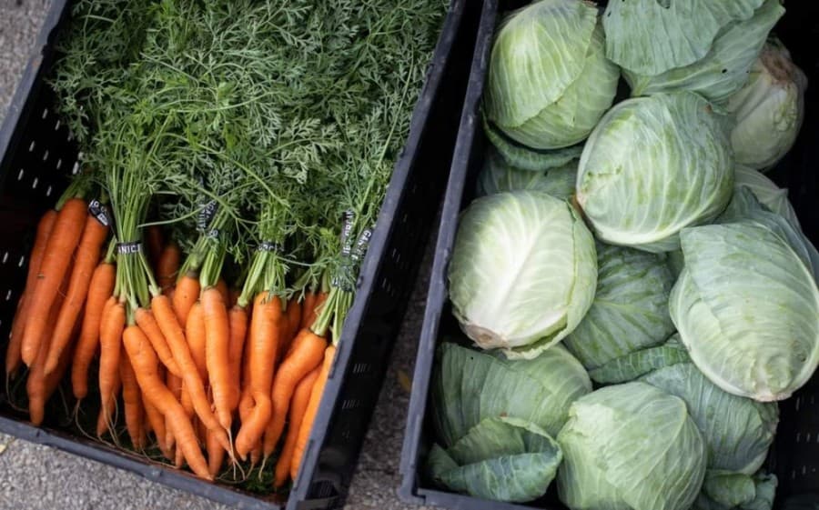 New weekly farmers market approved for Sunday operations in South Austin