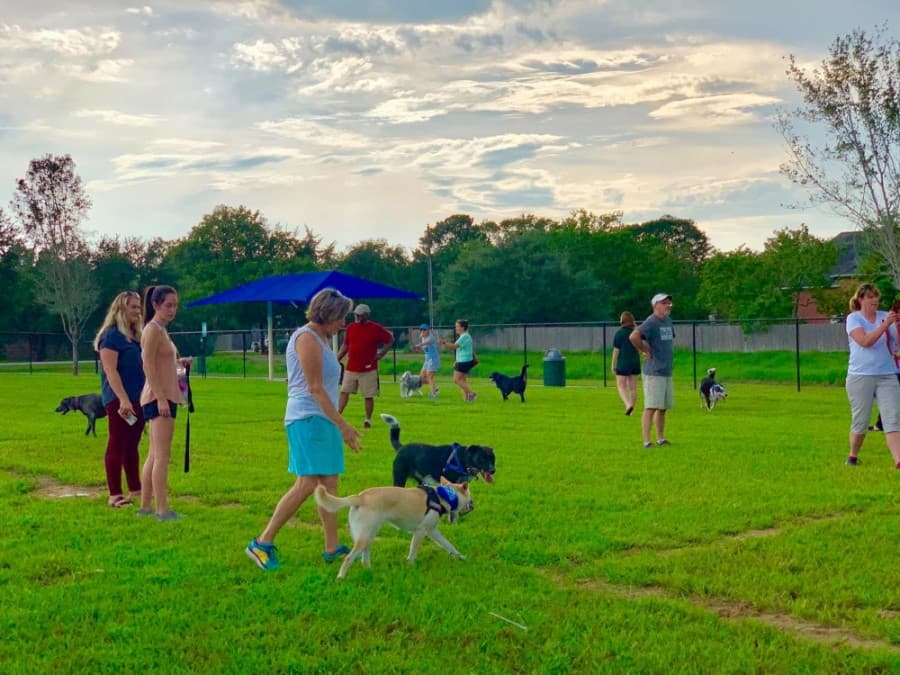 GUIDE: Animal shelters, clinics and dog parks in Pearland, Friendswood