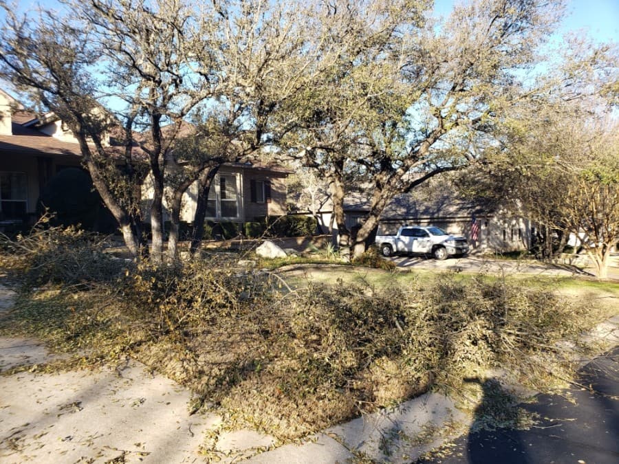 Tree limb pickup update, plus more Georgetown winter storm recovery news