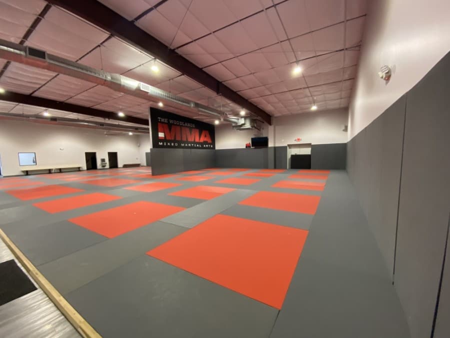 New cosmetic services, MMA gym: 5 recent business updates in The Woodlands and northern Spring
