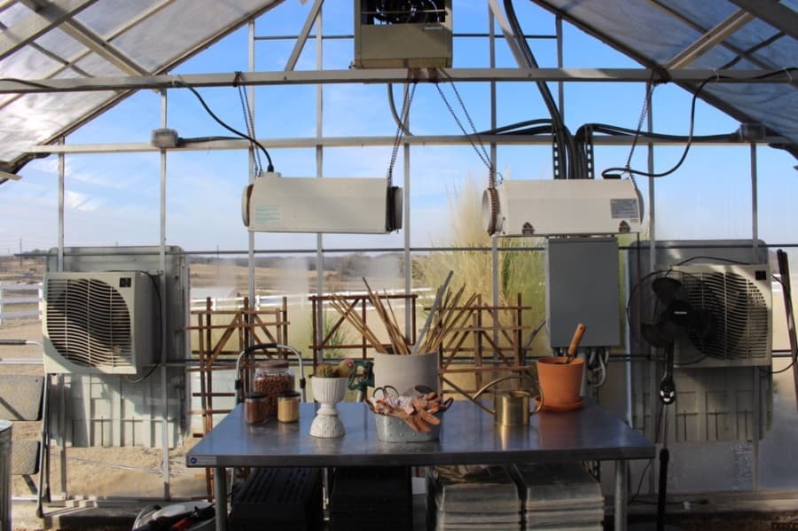 FarmHouse Fresh has a greenhouse on the ranch. (Francesca D'Annunzio/Community Impact Newspaper)