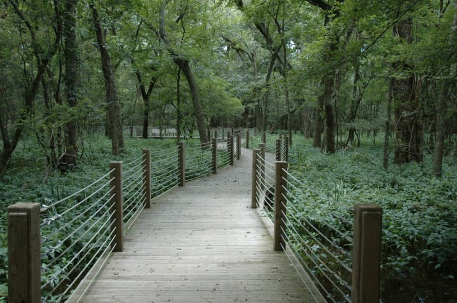 Mercer Botanic Garden's arboretum is located on the west side of Aldine Westfield Road. (Courtesy Harris County Precinct 4)