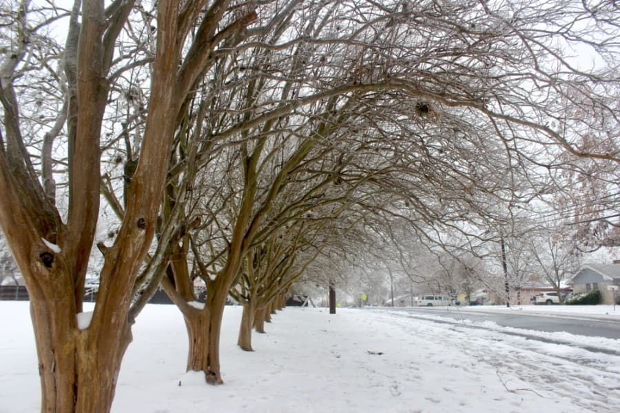 City of Houston to spend $9.9 million repairing damage from Winter Storm Uri