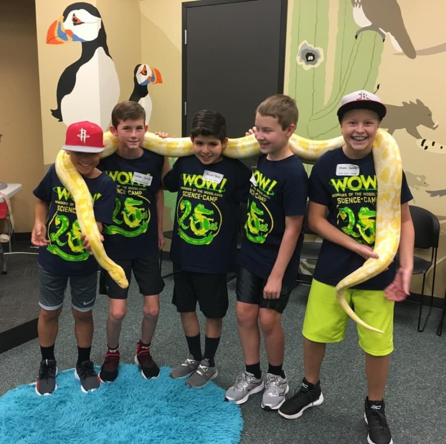 WOW! Science Camp's homegrown program aims to spark love of science in children