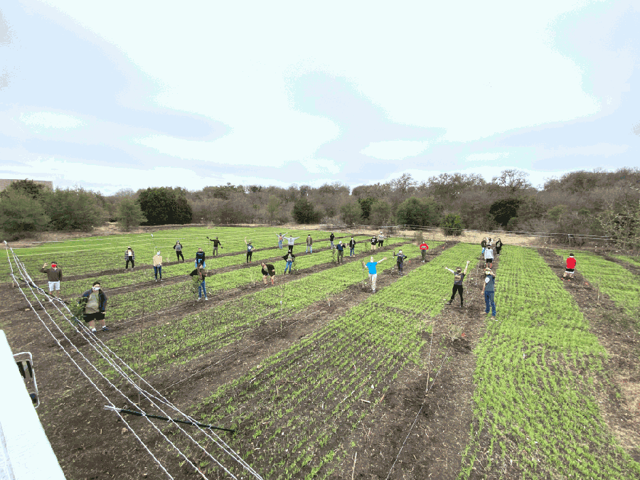 Texas Ceviche Co. opens, Urban Roots begins farming and more South Austin business news