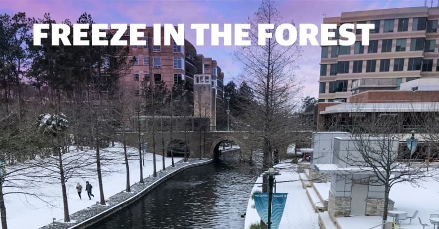 A tale of two grids: The Woodlands’ power providers face scrutiny after deep freeze