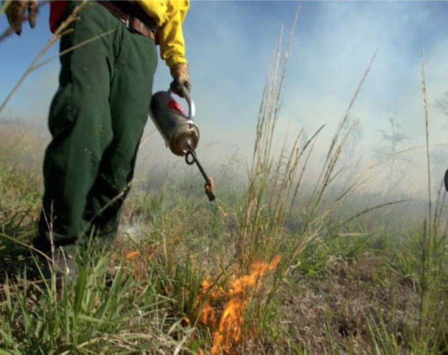 Houston Fire Department leading controlled burn at Houston Arboretum