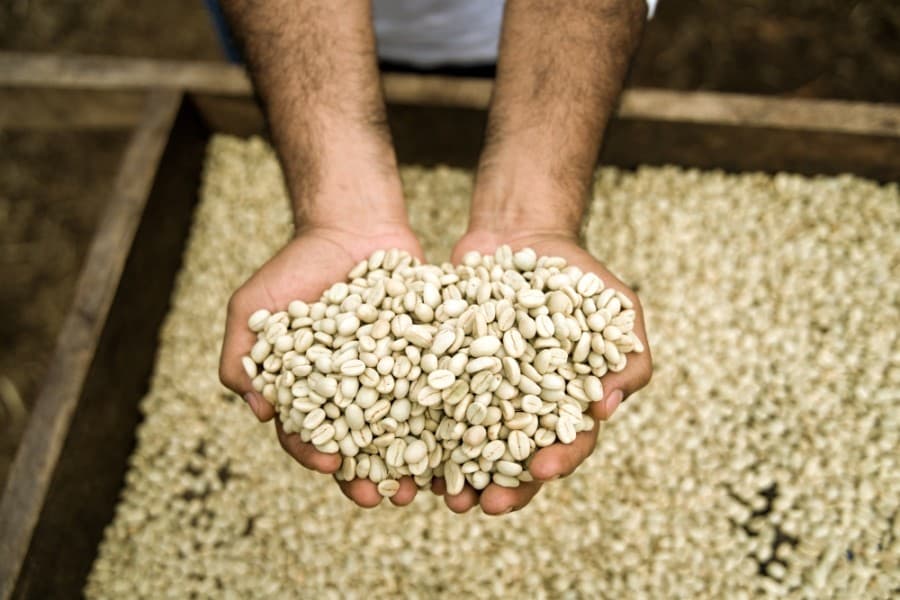 Two new coffee options coming soon to Southwest Austin