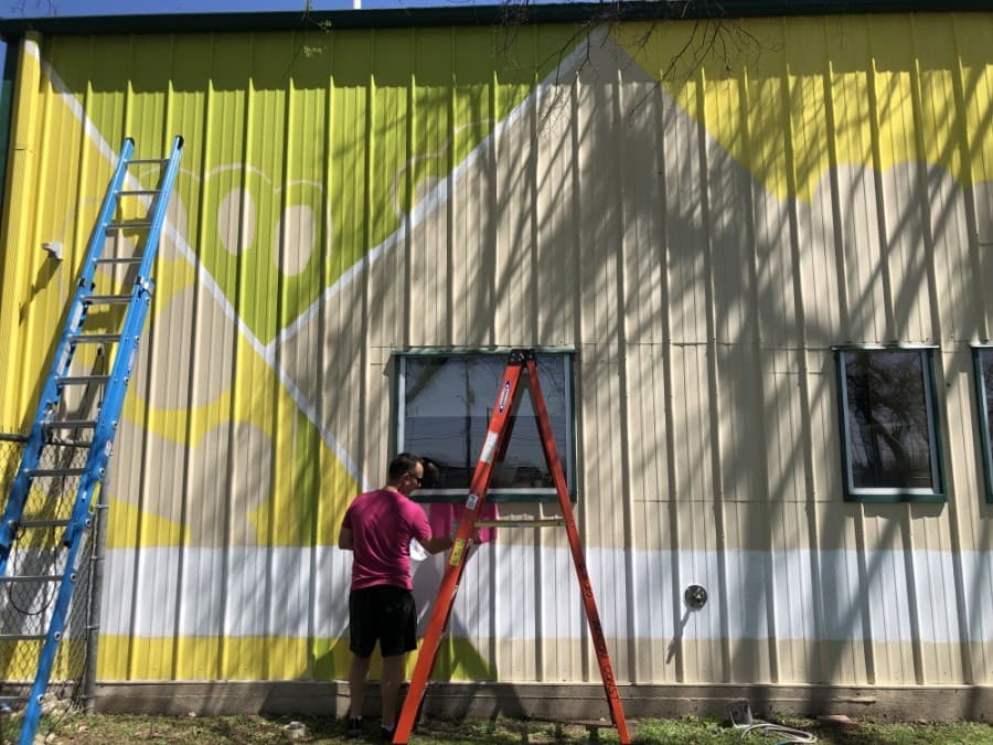New mural coming to Georgetown Animal Shelter celebrates pets, second chances