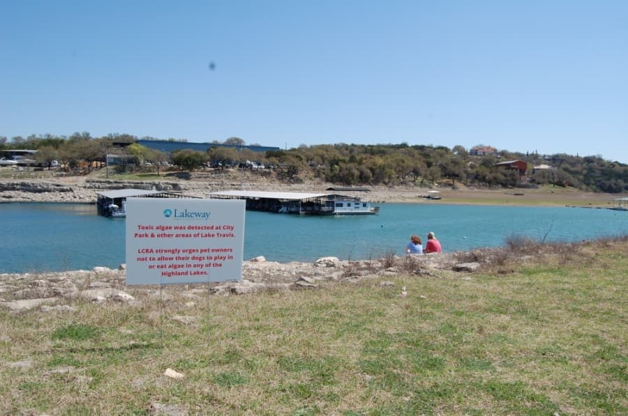 Toxins emitted by blue-green algae found in Inks Lake, Lake Marble Falls, Lake Travis