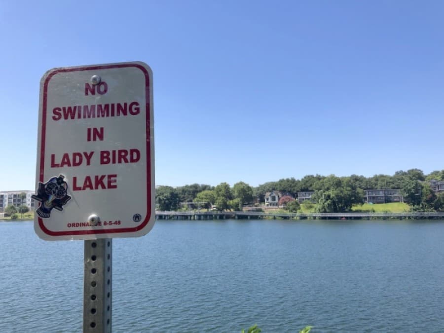 Toxic blue-green algae found in Lake Austin, Lady Bird Lake