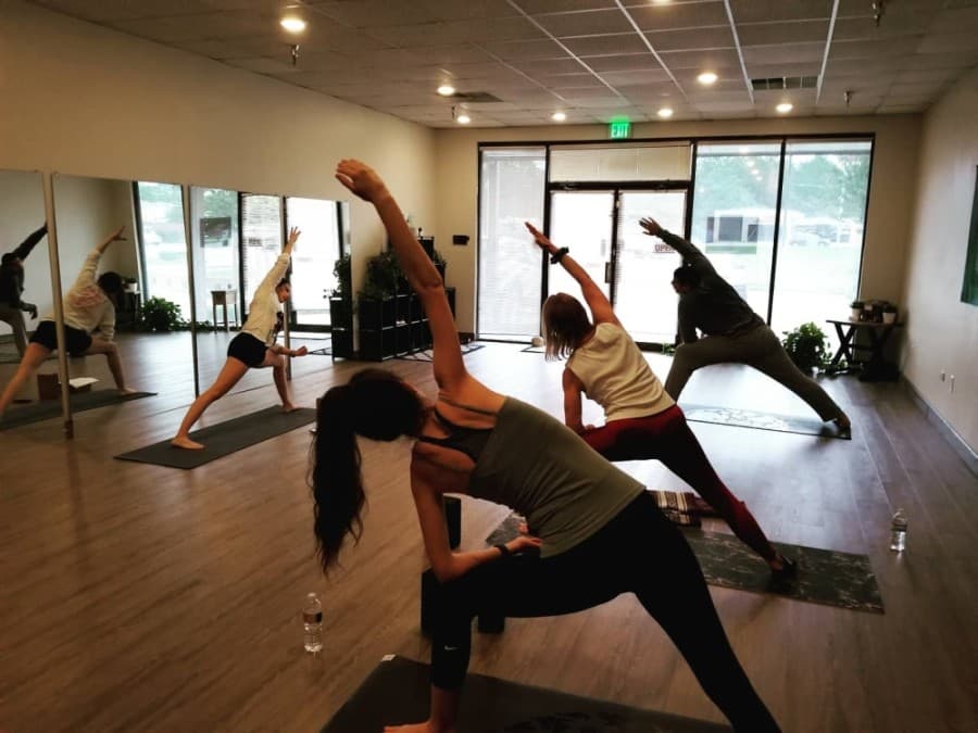 Alpine Yoga relocating in Conroe, will begin offering aerial and hot yoga