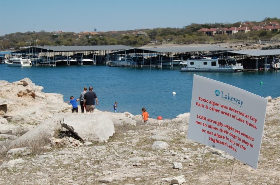 ‘Our 'new normal' is to treat all algae with caution’: LCRA confirms toxic blue-green algae still present in Highland Lakes