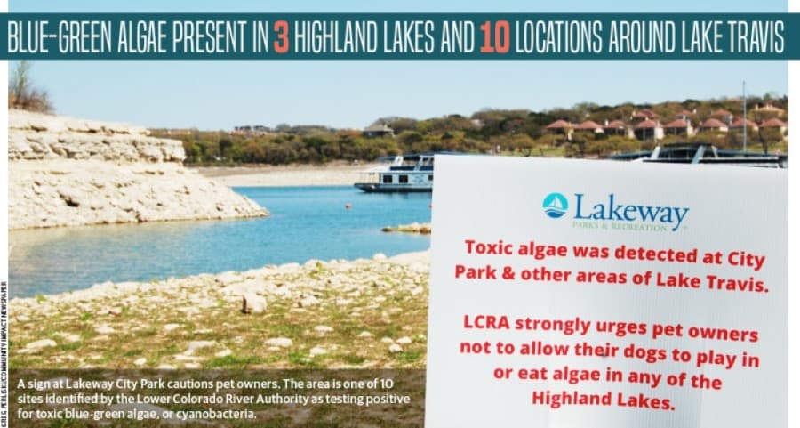 Harmful blue-green algae found in Highland Lakes