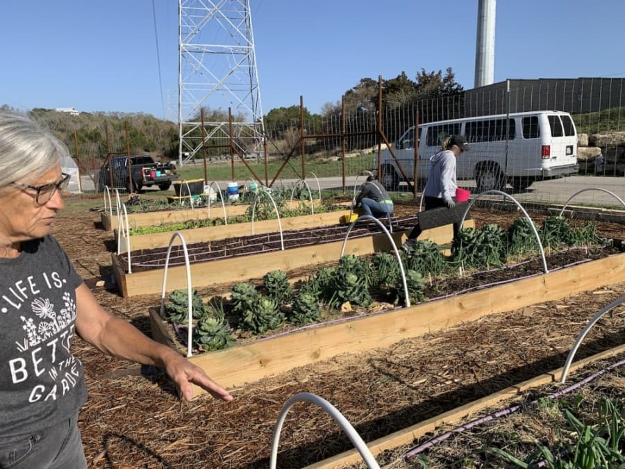 Spicewood community garden grows its support at Bee Creek United Methodist Church