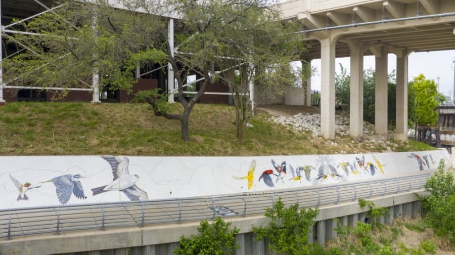 The new mural "Confluence" can be found where Buffalo and White Oak bayous meet, just below the University of Houston-Downtown building. (Courtesy Anthony Rathbun/Houston Parks Board)