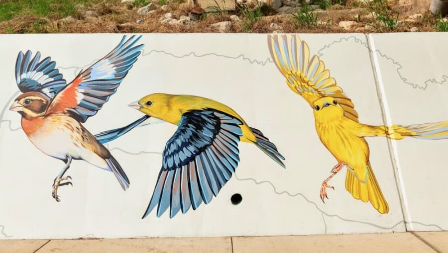 Photos: New mural 'Confluence' celebrates Houston's bayous, birds