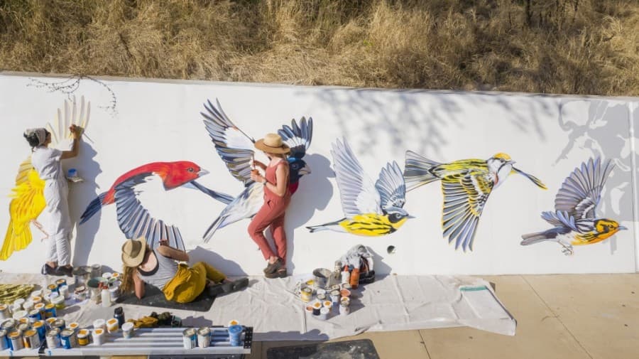 Artists with Ink Dwell Studio created the mural, which depicts birds that migrate seasonally to the Houston area. (Courtesy Anthony Rathbun/Houston Parks Board)