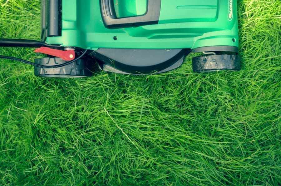 GreenPal launches in Missouri City