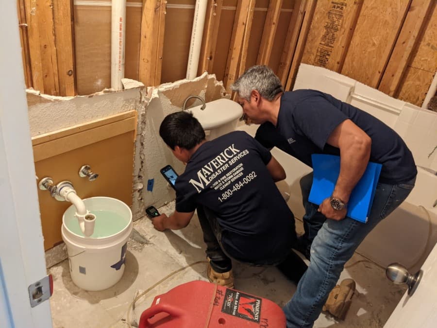 Freeze-damaged homes might qualify for property tax reduction