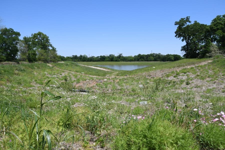 Volunteers sought for Brays Bayou green space cleanup effort