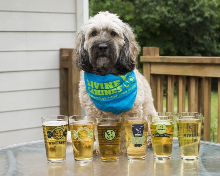 To-do list: Barks for beers returns to Austin and more local events happening through the end of May