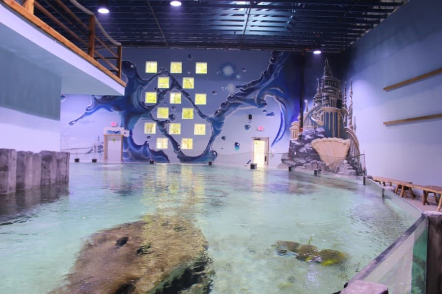 A large tank is home to stingrays, fish and eels—and a large dinosaur skeleton. (Kelly Schafler/Community Impact Newspaper)