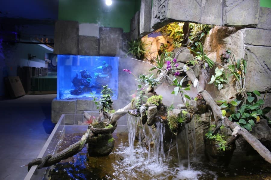 The Houston Interactive Aquarium & Animal Preserve's marine building has sharks, turtles, stingrays, alligators, fish and eels. (Kelly Schafler/Community Impact Newspaper)
