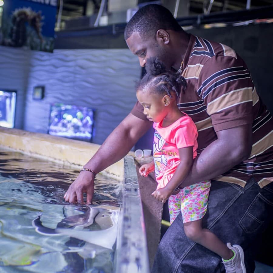 Visitors can feed stingrays, eels and fish in Houston Interactive Aquarium & Animal Preserve's aquarium building. (Courtesy Houston Interactive Aquarium & Animal Preserve)