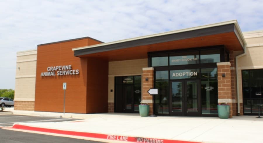 New Grapevine animal shelter triples footprint, increases services
