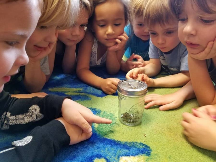 My Time Kids Academy to celebrate 5-year anniversary; Lake Travis Aesthetics opens in Spicewood; and more business news from the Lake Travis area