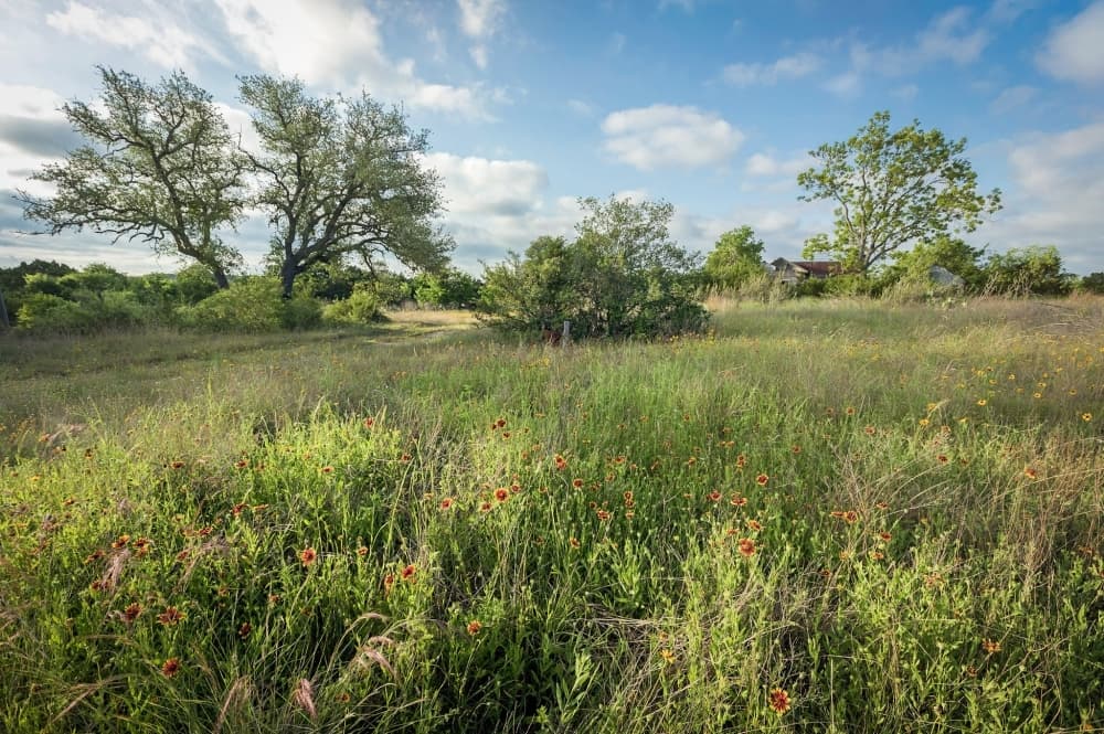 Barton Creek Habitat Preserve conservation to continue 'in perpetuity' following Austin acquisition