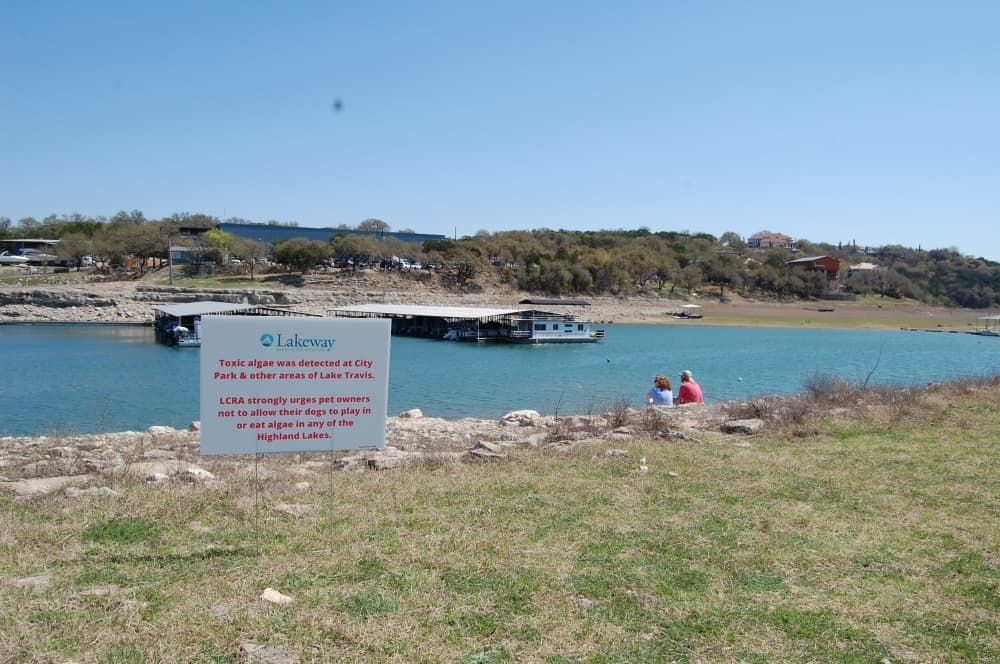LCRA officials unsure of how recent rainfall may impact toxicity of blue-green algae
