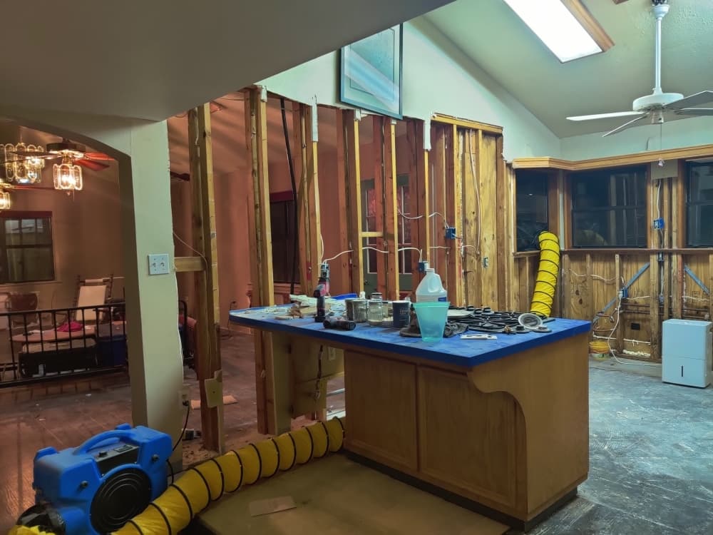 Flooded homes at risk of mold growth