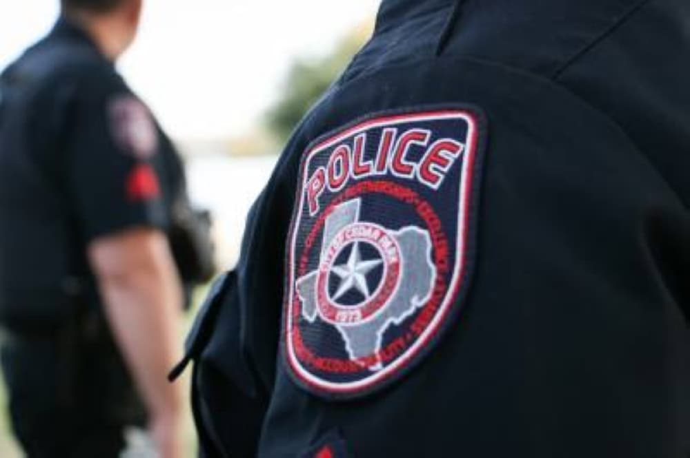 Dead rabid bat found in Cedar Park