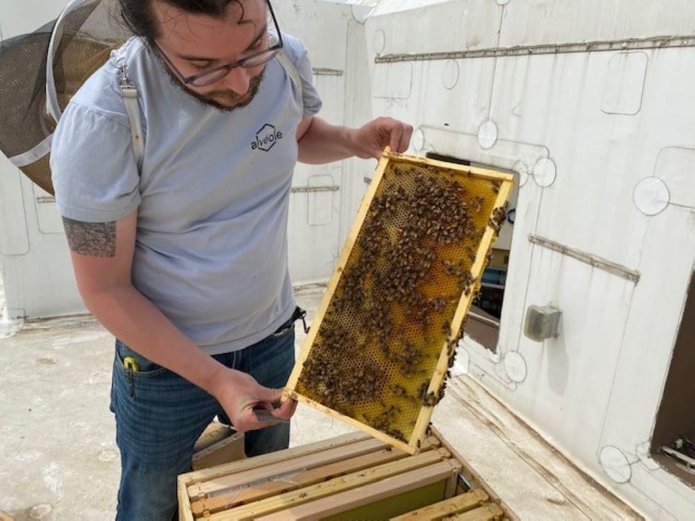 Tanger Outlets Fort Worth welcomes urban beehive, plans for community engagement