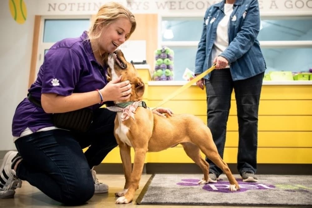 PetSuites opens new location in Round Rock