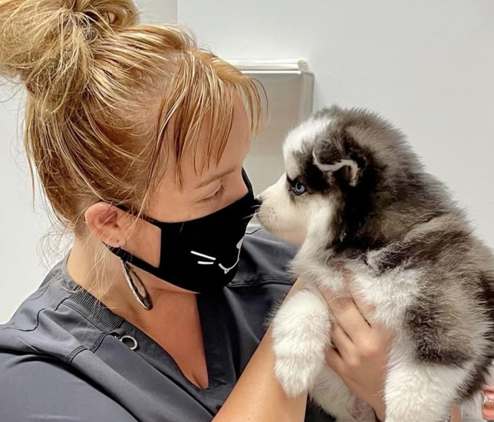 Highland Pointe Animal Hospital relocating to Flower Mound
