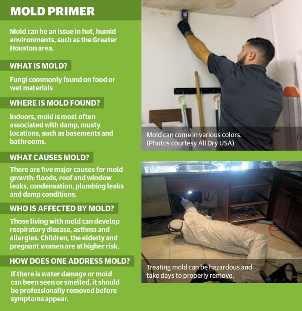 Water damage in Cy-Fair homes presents mold risk