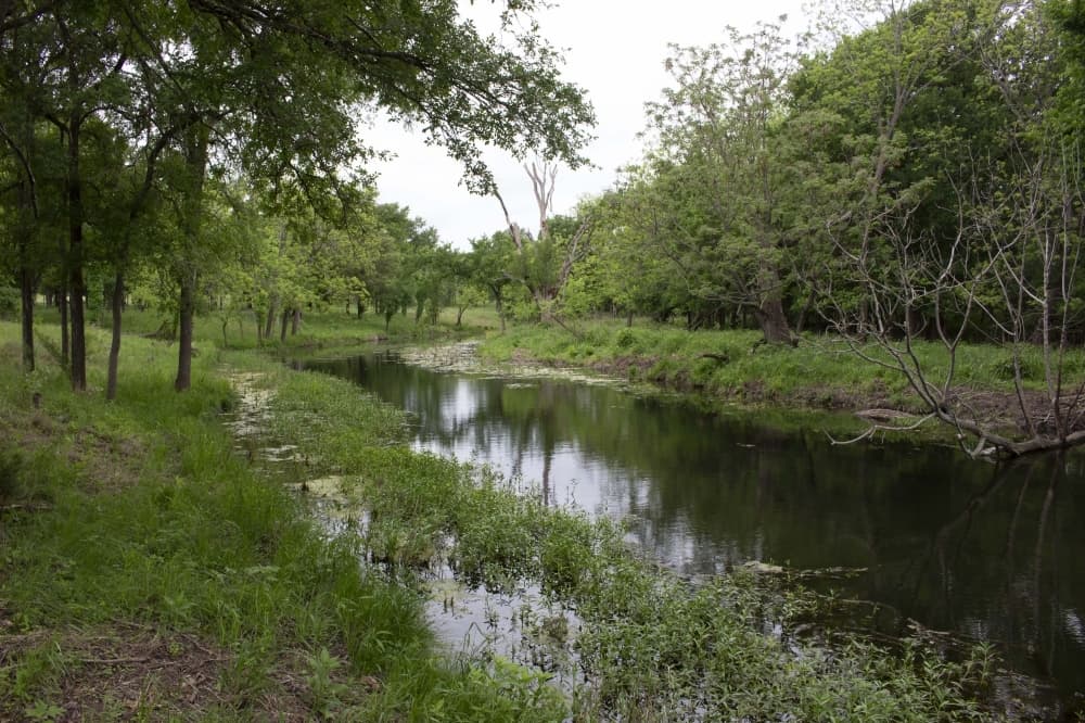 Conservation easement awarded for more than 500 acres at Spicewood Ranch