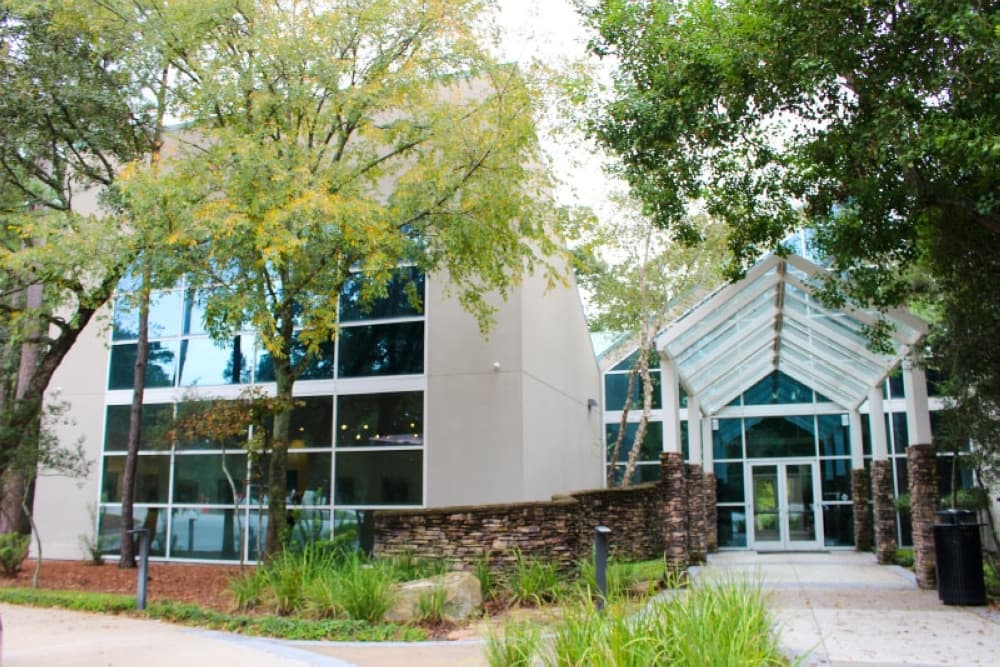Attend a cleanup, see live music: 4 things to do in The Woodlands area June 4-6