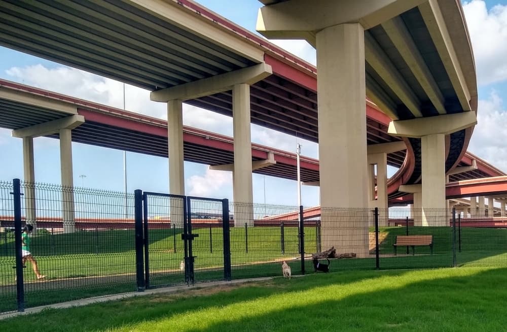 Dog park.