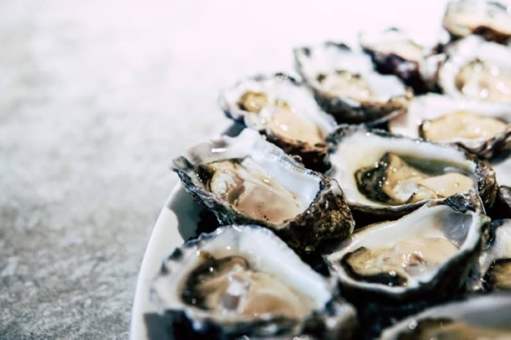 Urban Seafood Co. serving variety of dishes in Plano