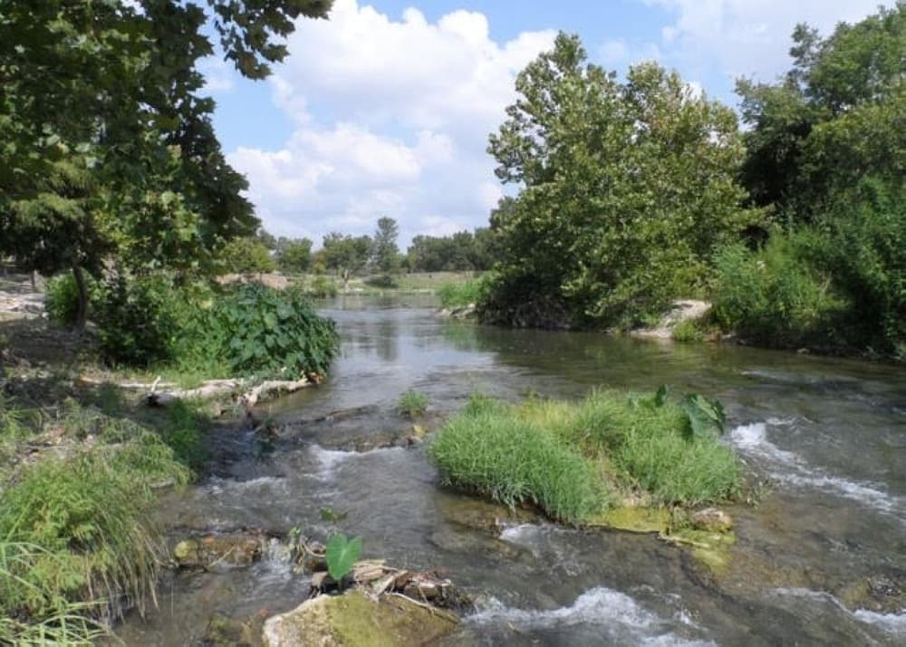 The San Marcos River Rangers offer training through the Texas Stream Team program that leads a team of volunteer citizen scientists who monitor water quality across the state and educate the public about pollution. (Courtesy San Marcos River Rangers)
