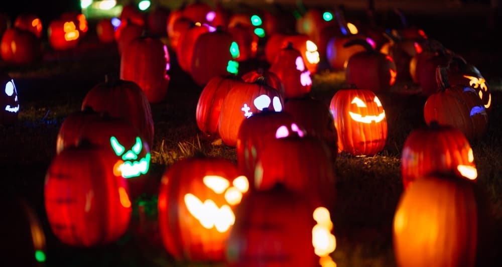 Two Radiance holiday experiences upcoming in Frisco