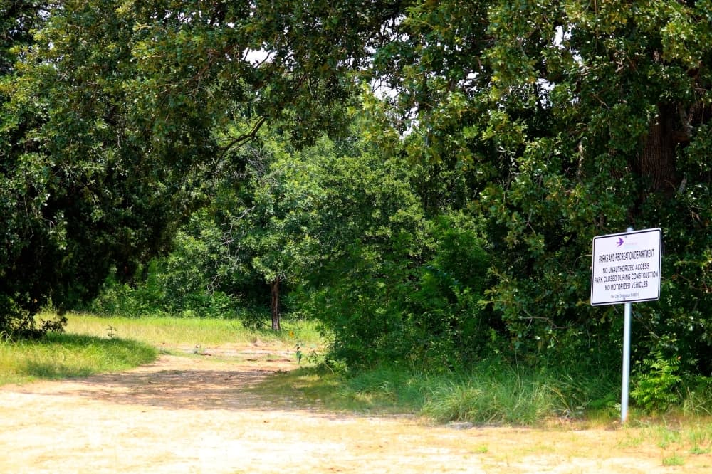 trail with trees